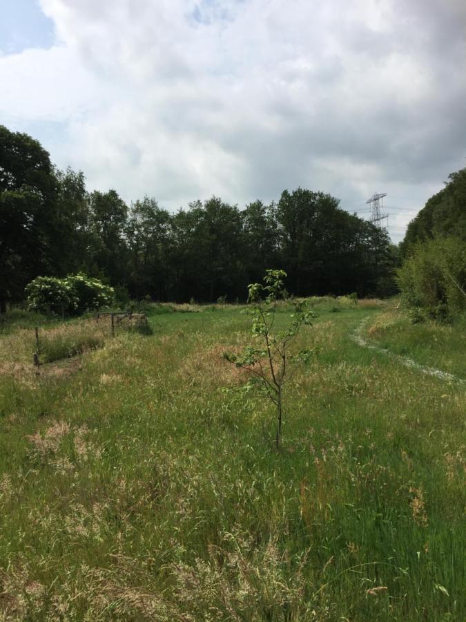De Distelweide Bed & Breakfast Holsloot Eksteriør bilde