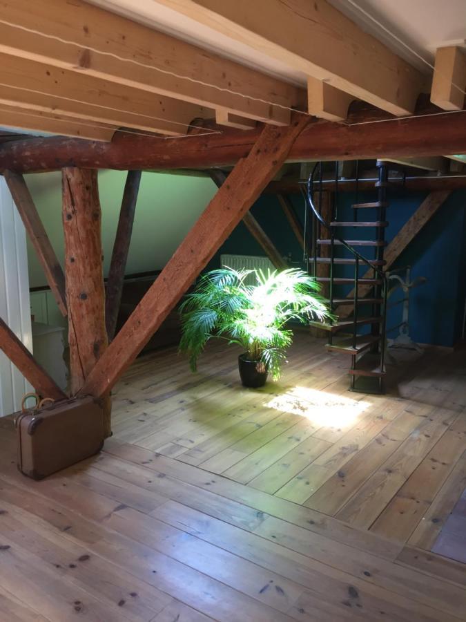 De Distelweide Bed & Breakfast Holsloot Eksteriør bilde